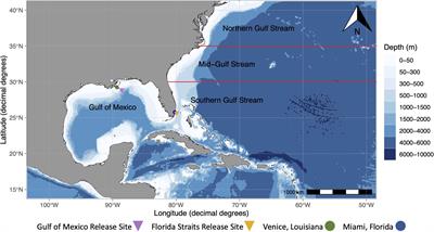 Remote Predictions of Mahi-Mahi (Coryphaena hippurus) Spawning in the Open Ocean Using Summarized Accelerometry Data